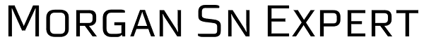 Morgan Sn Expert Font