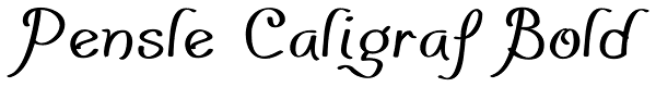 Pensle Caligraf Bold Font