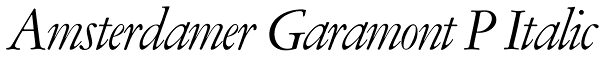 Amsterdamer Garamont P Italic Font