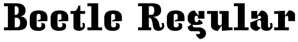 Beetle Regular Font