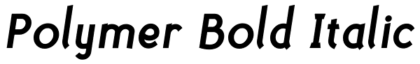 Polymer Bold Italic Font