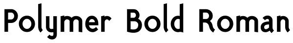 Polymer Bold Roman Font