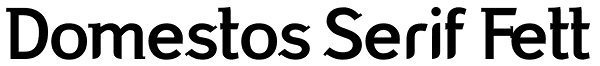Domestos Serif Fett Font