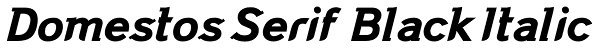 Domestos Serif Black Italic Font