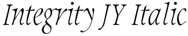 Integrity JY Italic Font