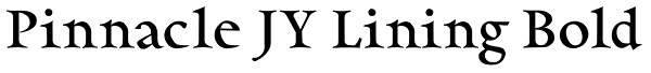 Pinnacle JY Lining Bold Font