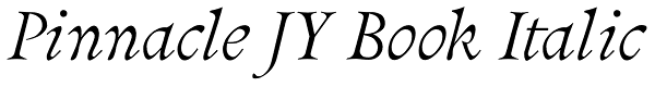 Pinnacle JY Book Italic Font