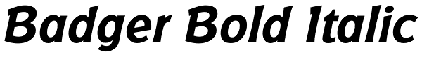 Badger Bold Italic Font
