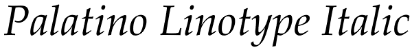 Palatino Linotype Italic Font