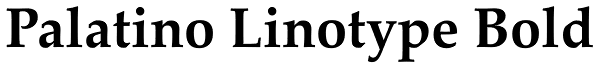 Palatino Linotype Bold Font