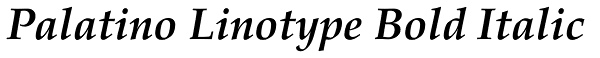 Palatino Linotype Bold Italic Font