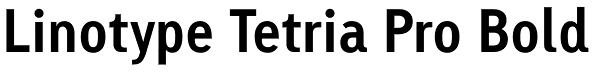 Linotype Tetria Pro Bold Font