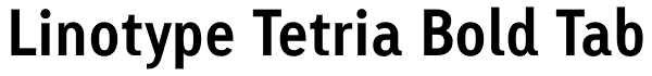 Linotype Tetria Bold Tab Font