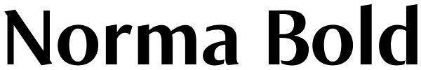 Norma Bold Font