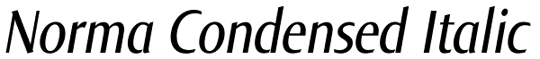 Norma Condensed Italic Font