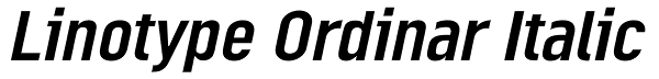 Linotype Ordinar Italic Font