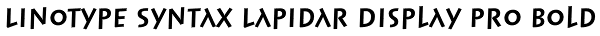 Linotype Syntax Lapidar Display Pro Bold Font