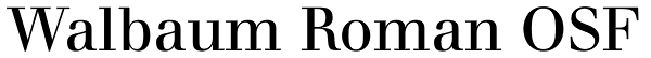 Walbaum Roman OSF Font