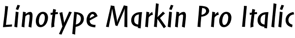 Linotype Markin Pro Italic Font