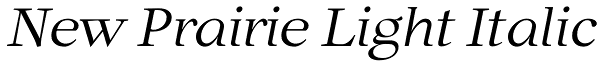 New Prairie Light Italic Font