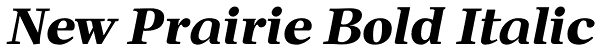 New Prairie Bold Italic Font