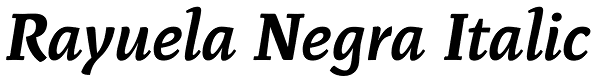 Rayuela Negra Italic Font