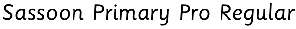 Sassoon Primary Pro Regular Font