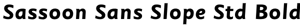 Sassoon Sans Slope Std Bold Font