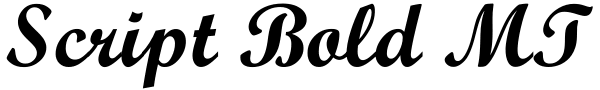 Script Bold MT Font