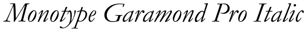 Monotype Garamond Pro Italic Font