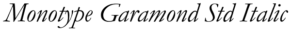 Monotype Garamond Std Italic Font