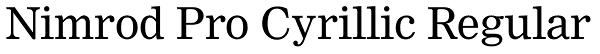 Nimrod Pro Cyrillic Regular Font