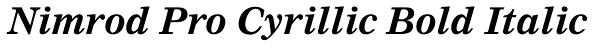 Nimrod Pro Cyrillic Bold Italic Font