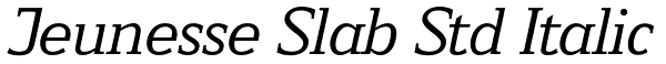 Jeunesse Slab Std Italic Font