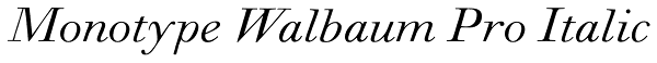 Monotype Walbaum Pro Italic Font