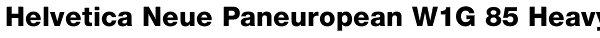 Helvetica Neue Paneuropean W1G 85 Heavy Font