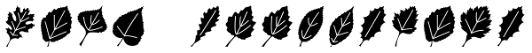 Leaf Assortment Font