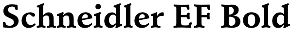 Schneidler EF Bold Font