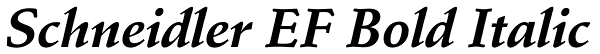 Schneidler EF Bold Italic Font