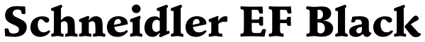 Schneidler EF Black Font