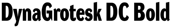 DynaGrotesk DC Bold Font