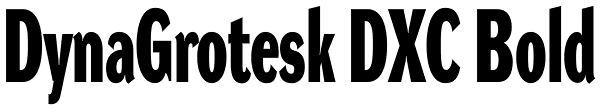 DynaGrotesk DXC Bold Font