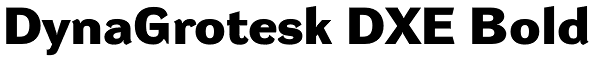 DynaGrotesk DXE Bold Font