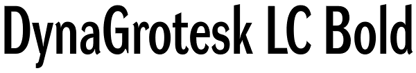 DynaGrotesk LC Bold Font