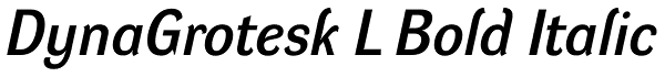 DynaGrotesk L Bold Italic Font