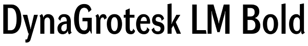 DynaGrotesk LM Bold Font