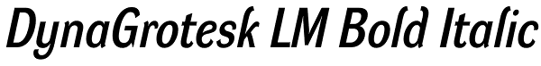 DynaGrotesk LM Bold Italic Font