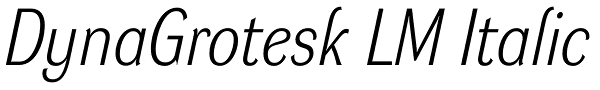 DynaGrotesk LM Italic Font