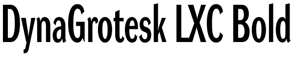 DynaGrotesk LXC Bold Font