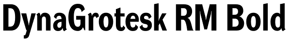 DynaGrotesk RM Bold Font